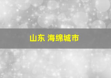 山东 海绵城市